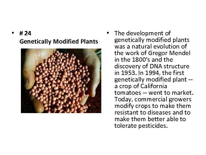  • # 24 Genetically Modified Plants • The development of genetically modified plants