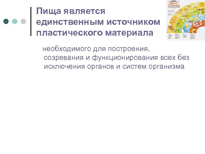 Пища является единственным источником пластического материала необходимого для построения, созревания и функционирования всех без