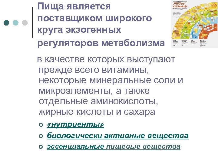 Пища является поставщиком широкого круга экзогенных регуляторов метаболизма в качестве которых выступают прежде всего