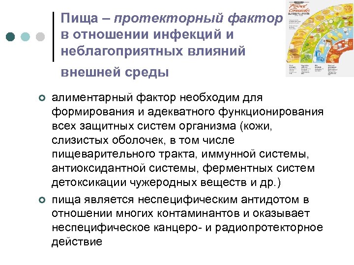 Пища – протекторный фактор в отношении инфекций и неблагоприятных влияний внешней среды ¢ ¢