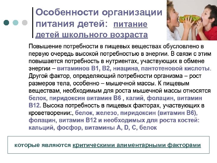 Особенности организации питания детей: питание детей школьного возраста которые являются критическими алиментарными факторами 