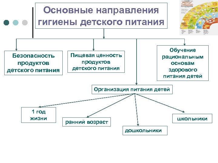 Основные направления гигиены детского питания Безопасность продуктов детского питания Обучение рациональным основам здорового питания