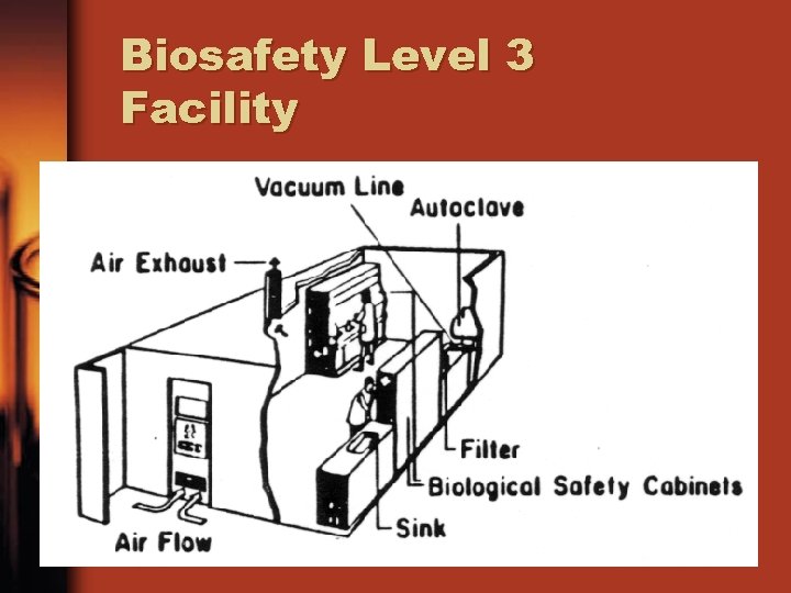 Biosafety Level 3 Facility 