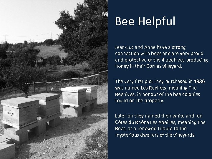 Bee Helpful Jean-Luc and Anne have a strong connection with bees and are very