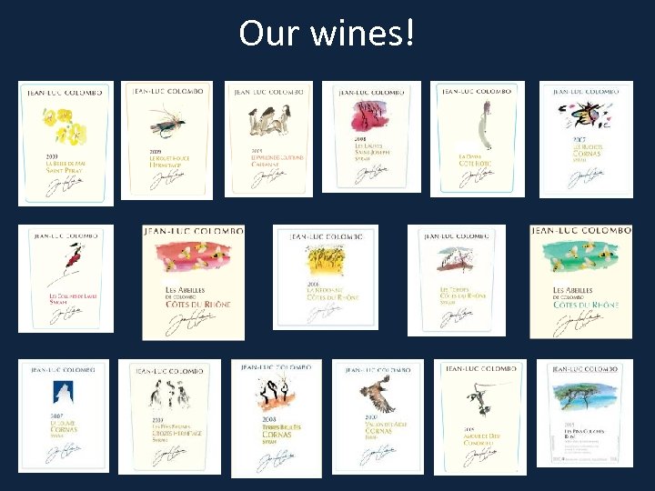 Our wines! 