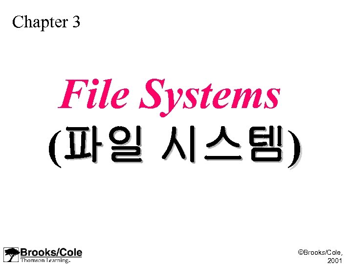 Chapter 3 File Systems (파일 시스템) ©Brooks/Cole, 2001 
