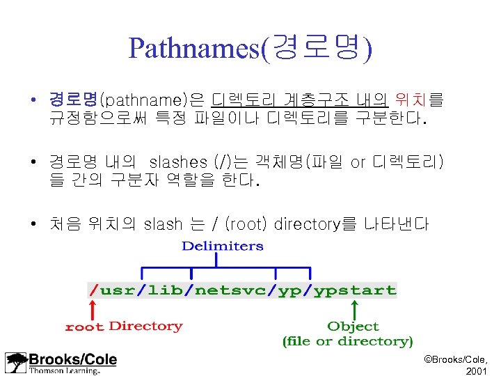 Pathnames(경로명) • 경로명(pathname)은 디렉토리 계층구조 내의 위치를 규정함으로써 특정 파일이나 디렉토리를 구분한다. • 경로명