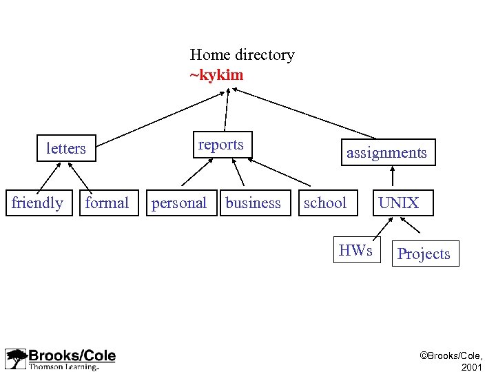Home directory ~kykim letters friendly formal reports personal business assignments school HWs UNIX Projects