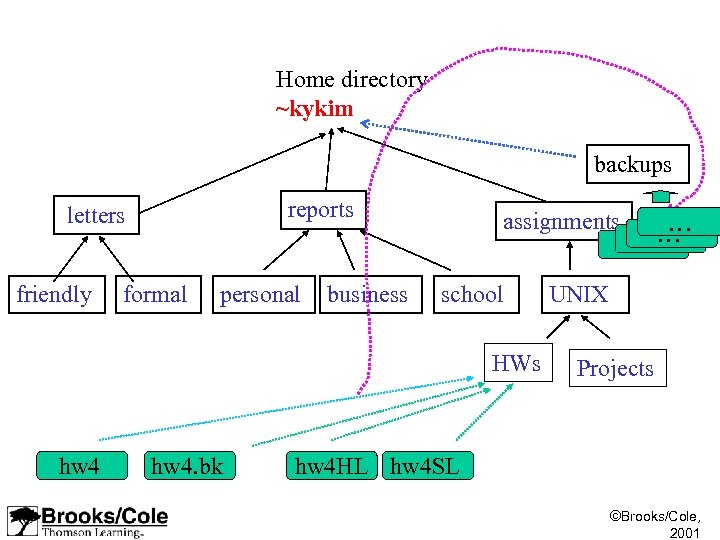 Home directory ~kykim backups reports letters friendly formal personal business assignments school HWs hw