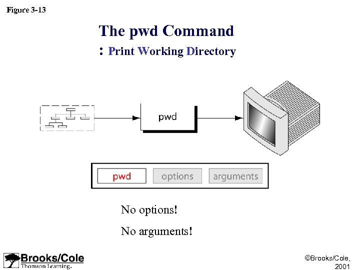 Figure 3 -13 The pwd Command : Print Working Directory No options! No arguments!