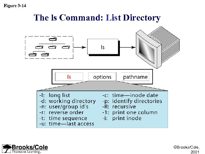 Figure 3 -14 The ls Command: List Directory ©Brooks/Cole, 2001 