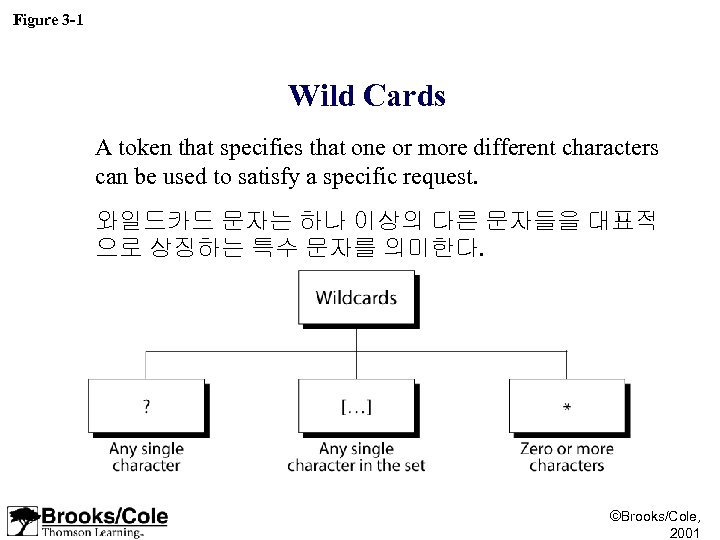 Figure 3 -1 Wild Cards A token that specifies that one or more different