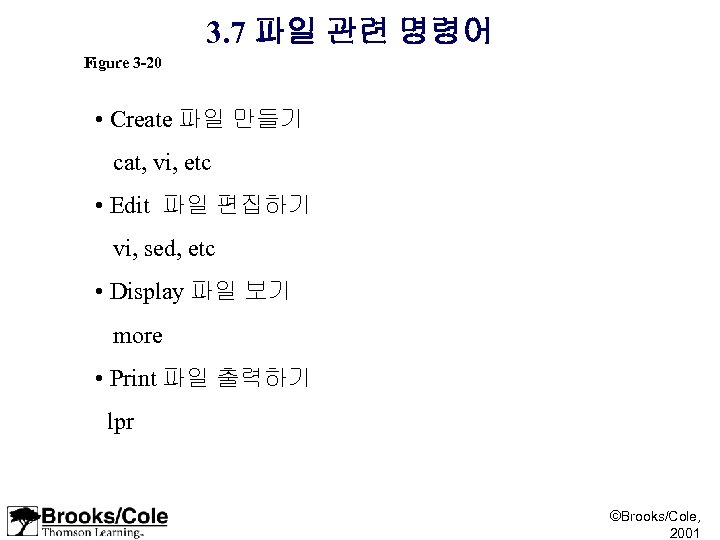 3. 7 파일 관련 명령어 Figure 3 -20 • Create 파일 만들기 cat, vi,