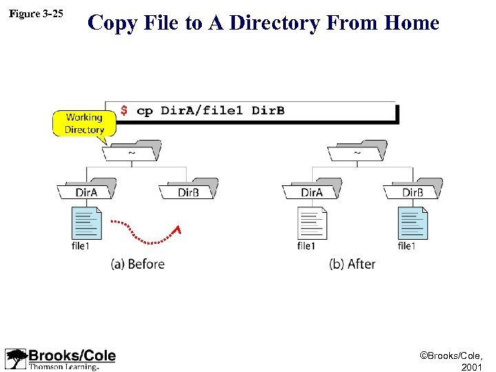 Figure 3 -25 Copy File to A Directory From Home ©Brooks/Cole, 2001 