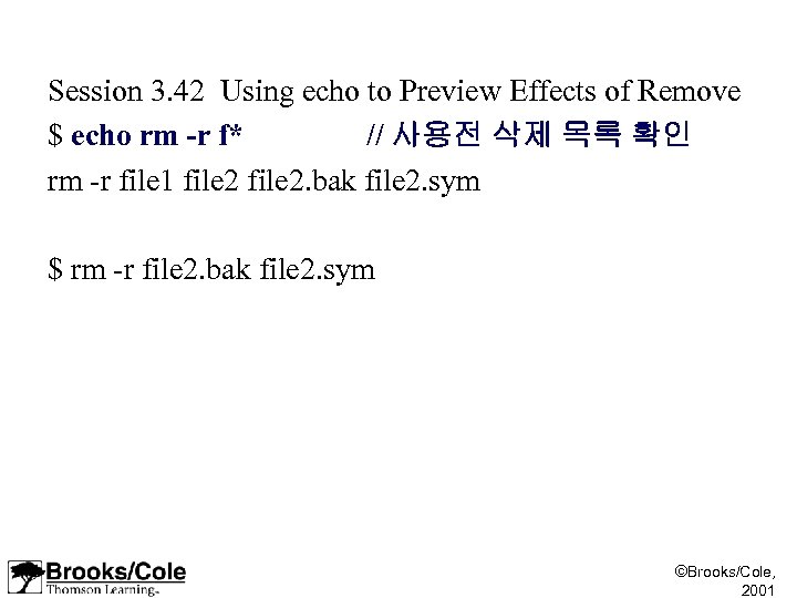 Session 3. 42 Using echo to Preview Effects of Remove $ echo rm -r