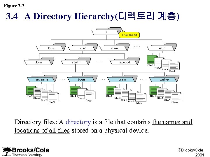 Figure 3 -3 3. 4 A Directory Hierarchy(디렉토리 계층) Directory files: A directory is