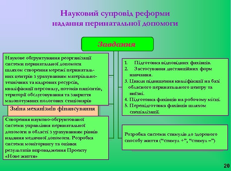 Науковий супровід реформи надання перинатальної допомоги Операційні цілі Завдання Наукове обґрунтування реорганізації системи перинатальної