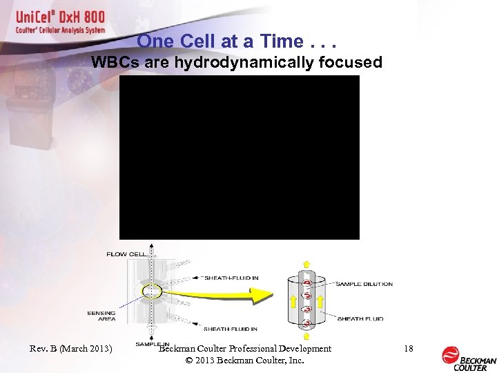 One Cell at a Time. . . WBCs are hydrodynamically focused Rev. B (March