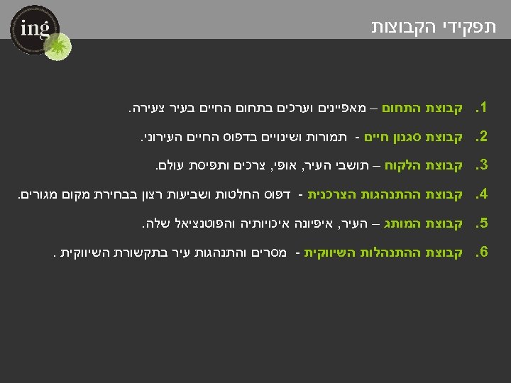  תפקידי הקבוצות 1. קבוצת התחום – מאפיינים וערכים בתחום החיים בעיר צעירה. 2.