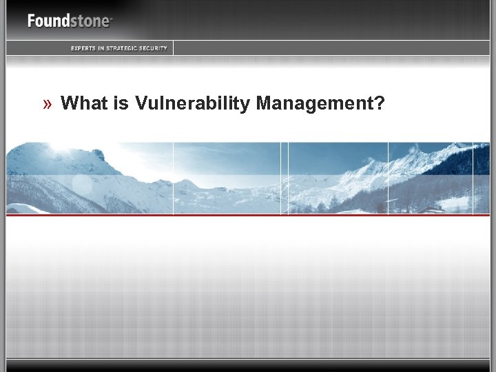 » What is Vulnerability Management? 