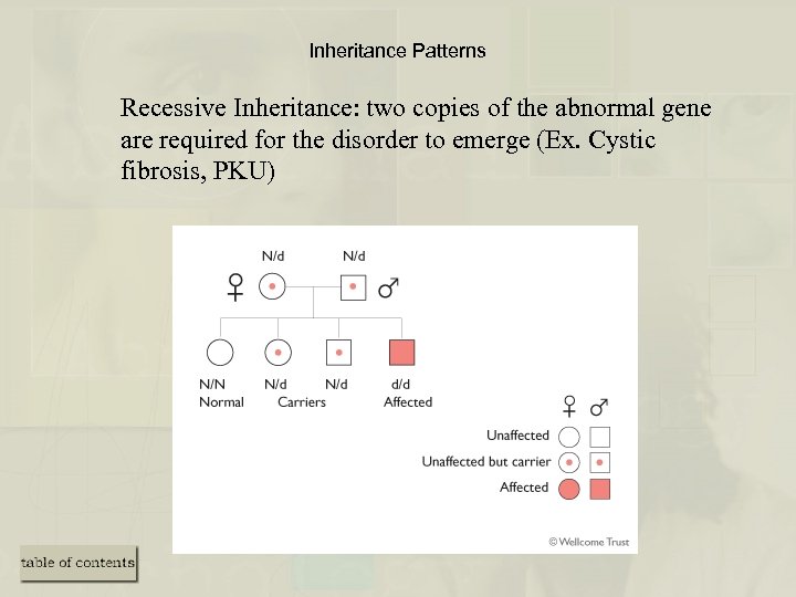 Inheritance Patterns Recessive Inheritance: two copies of the abnormal gene are required for the