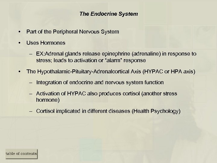 The Endocrine System • Part of the Peripheral Nervous System • Uses Hormones –