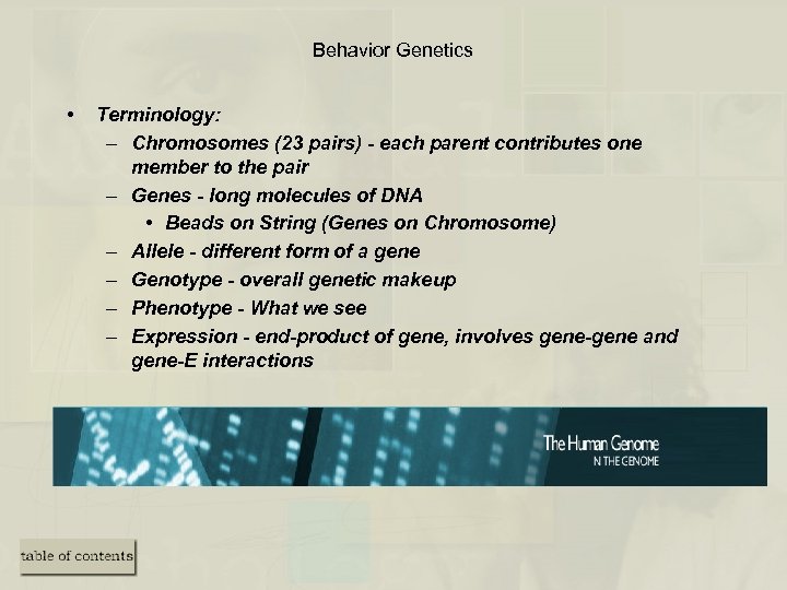 Behavior Genetics • Terminology: – Chromosomes (23 pairs) - each parent contributes one member