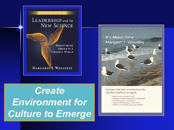 Create Environment for Culture to Emerge 