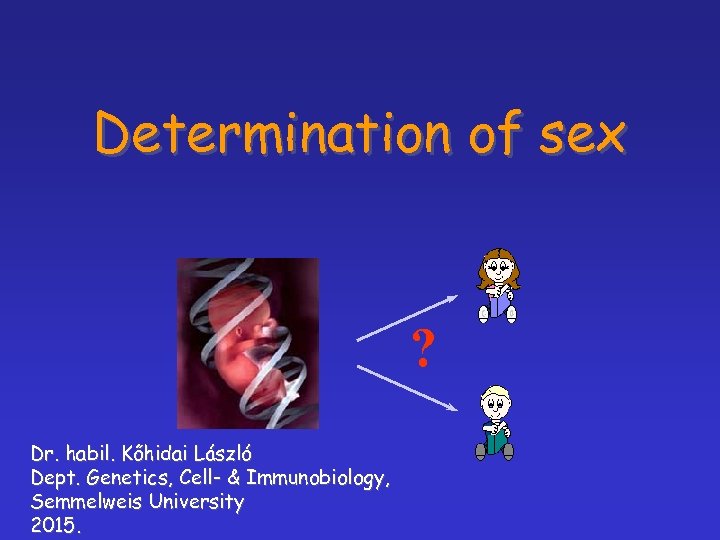 Determination of sex ? Dr. habil. Kőhidai László Dept. Genetics, Cell- & Immunobiology, Semmelweis