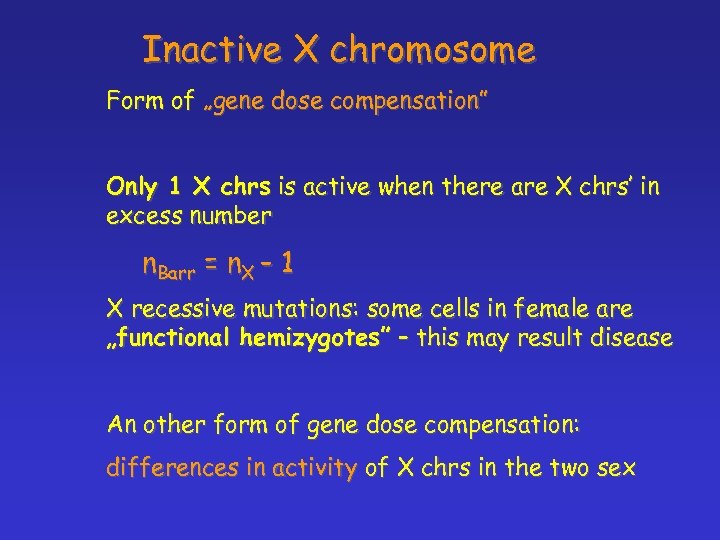 Inactive X chromosome Form of „gene dose compensation” Only 1 X chrs is active