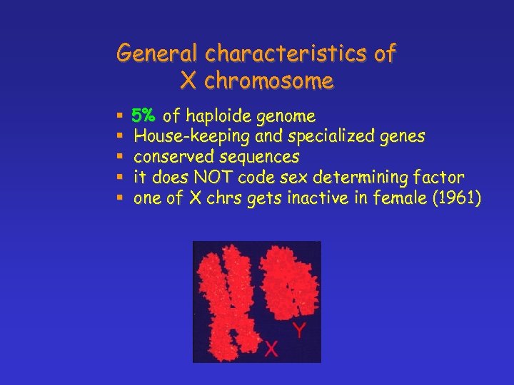 General characteristics of X chromosome § § § 5% of haploide genome House-keeping and