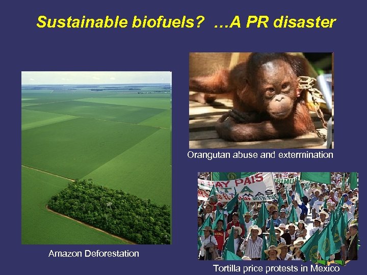 Sustainable biofuels? …A PR disaster Orangutan abuse and extermination Amazon Deforestation Tortilla price protests