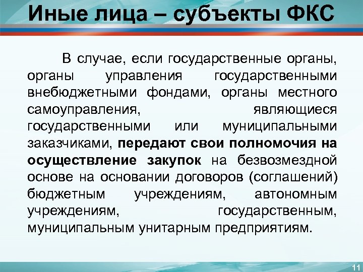 Иные лица – субъекты ФКС В случае, если государственные органы, органы управления государственными внебюджетными