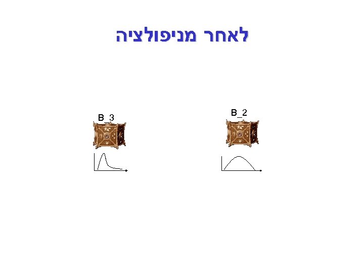  לאחר מניפולציה 2_ B 3_ B 