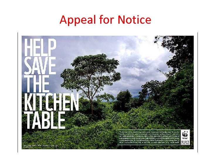 Appeal for Notice 