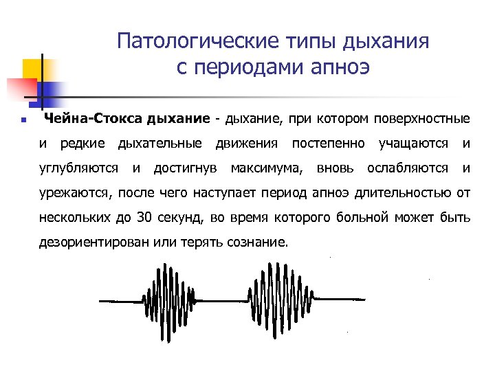 Периоды дыхания. Патологические типы дыхания пропедевтика. Дыхание Биота Чейна Стокса Куссмауля. Патологические типы дыхания патфиза. Дыхание Чейна-Стокса характеризуется.