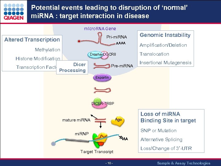 Potential events leading to disruption of ‘normal’ mi. RNA : target interaction in disease