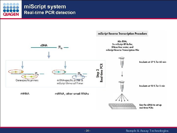 mi. Script system Real-time PCR detection - 20 - Sample & Assay Technologies 