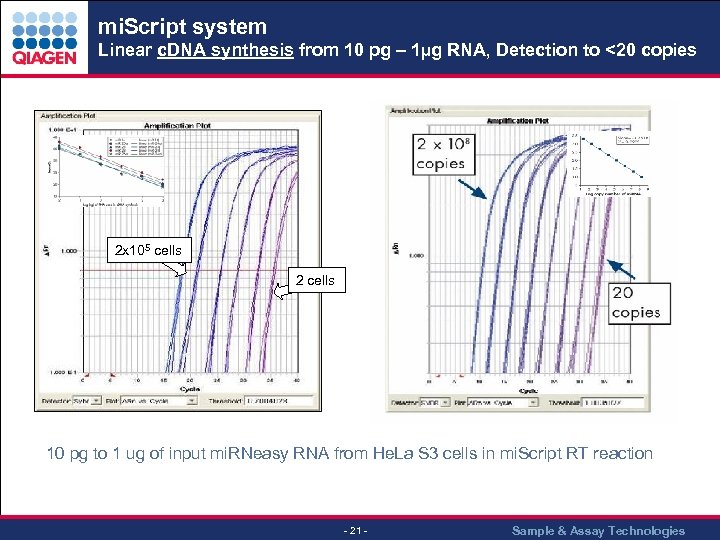 mi. Script system Linear c. DNA synthesis from 10 pg – 1µg RNA, Detection