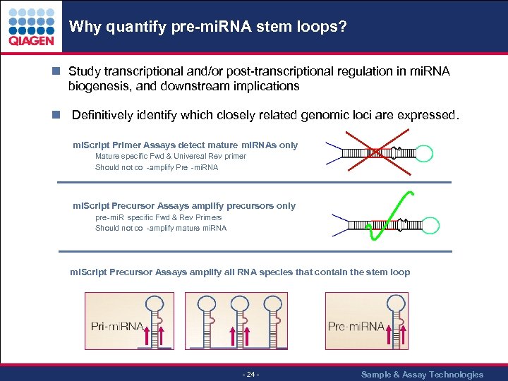 Why quantify pre-mi. RNA stem loops? n Study transcriptional and/or post-transcriptional regulation in mi.
