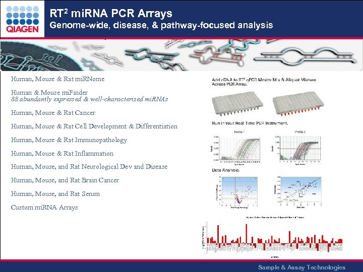 RT 2 mi. RNA PCR Arrays Genome-wide, disease, & pathway-focused analysis Human, Mouse &