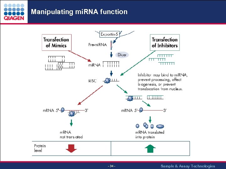 Manipulating mi. RNA function - 34 - Sample & Assay Technologies 