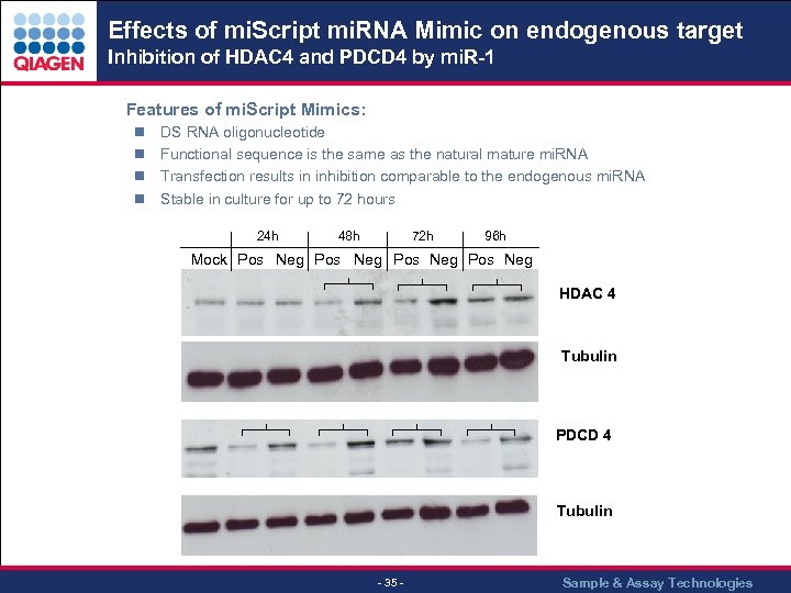 Effects of mi. Script mi. RNA Mimic on endogenous target Inhibition of HDAC 4