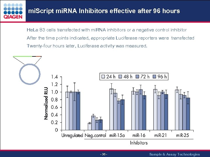 mi. Script mi. RNA Inhibitors effective after 96 hours. . . He. La S