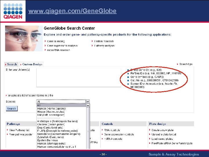 www. qiagen. com/Gene. Globe - 38 - Sample & Assay Technologies 