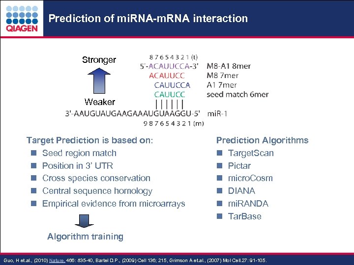 Prediction of mi. RNA-m. RNA interaction Stronger Weaker . Target Prediction is based on: