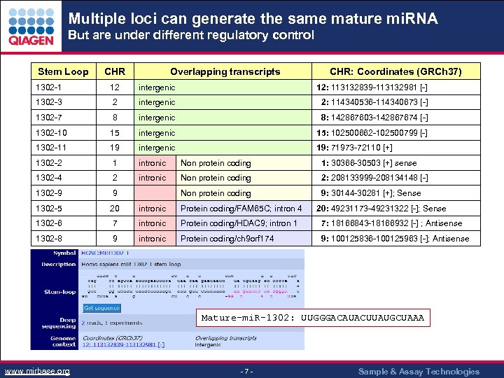 Multiple loci can generate the same mature mi. RNA But are under different regulatory