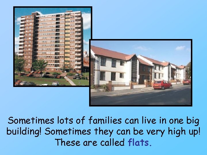 Sometimes lots of families can live in one big building! Sometimes they can be