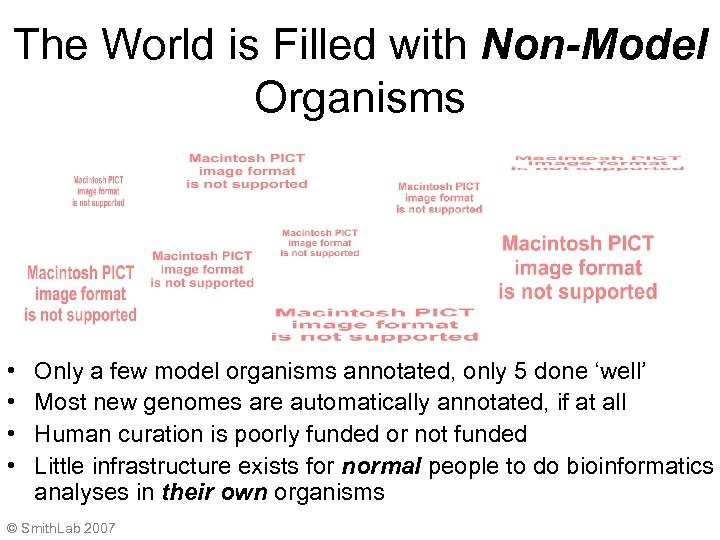 The World is Filled with Non-Model Organisms • • Only a few model organisms