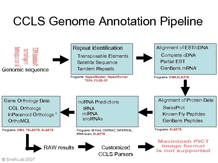 CCLS Genome Annotation Pipeline Repeat Identification Transposable Elements Satellite Sequence Tandem Repeats Genomic sequence